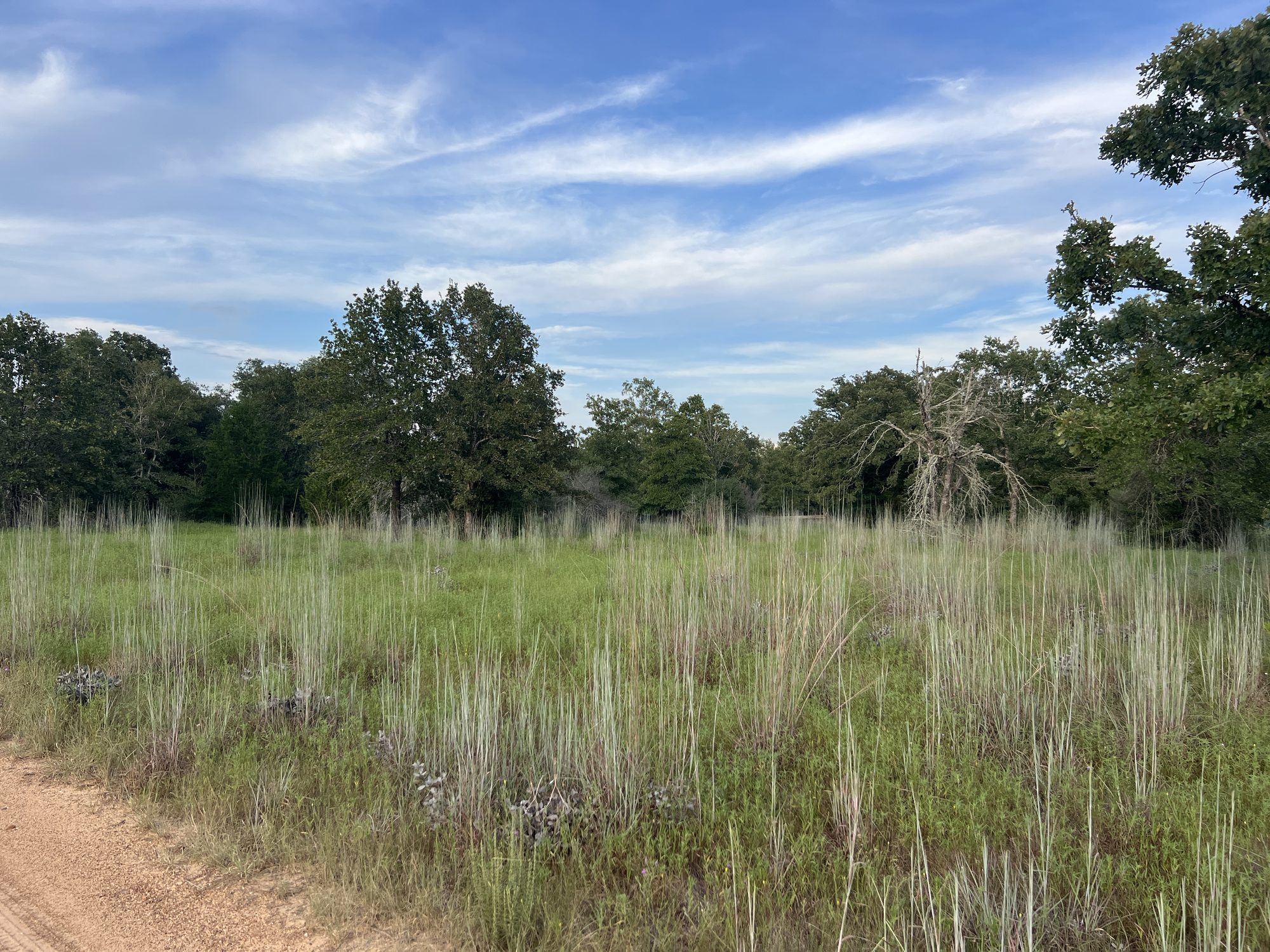 Open grassland and trees at the Ecology and Natural Resources Teaching Area