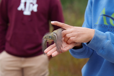 Fieldwork Photo 2